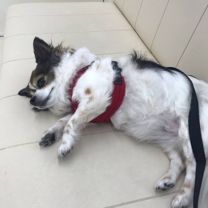 5d67d42b ac96 4bce ac62 b189dddaf39b 1652233504199