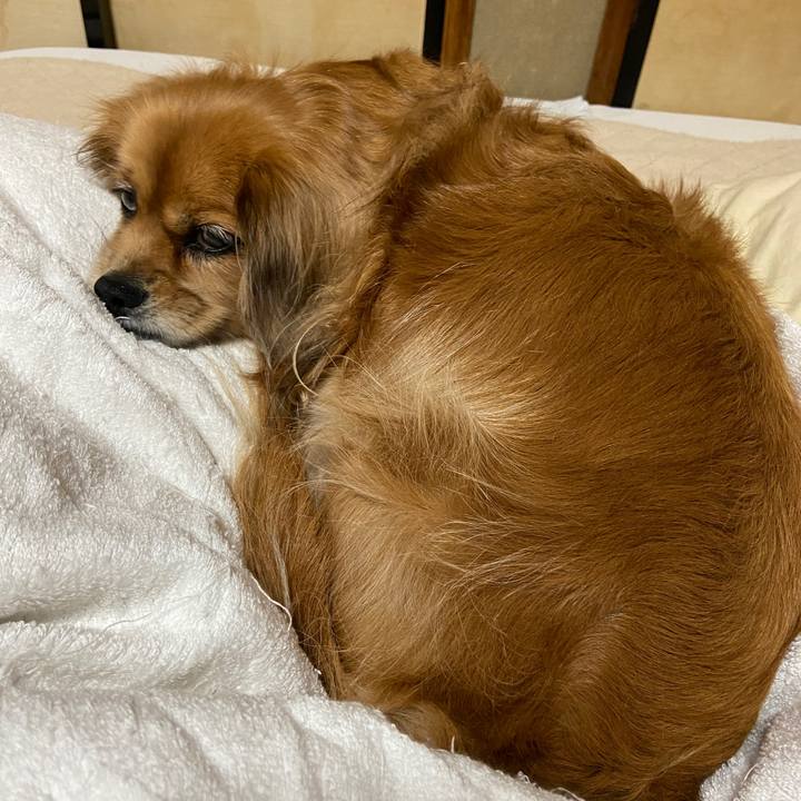 5d682f64 f9ee 477e 8c13 5842e9b77719 1669672819868