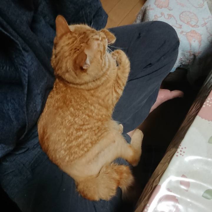 5d684cc4 6642 4ef7 a480 295eb267c18d 1657313493931