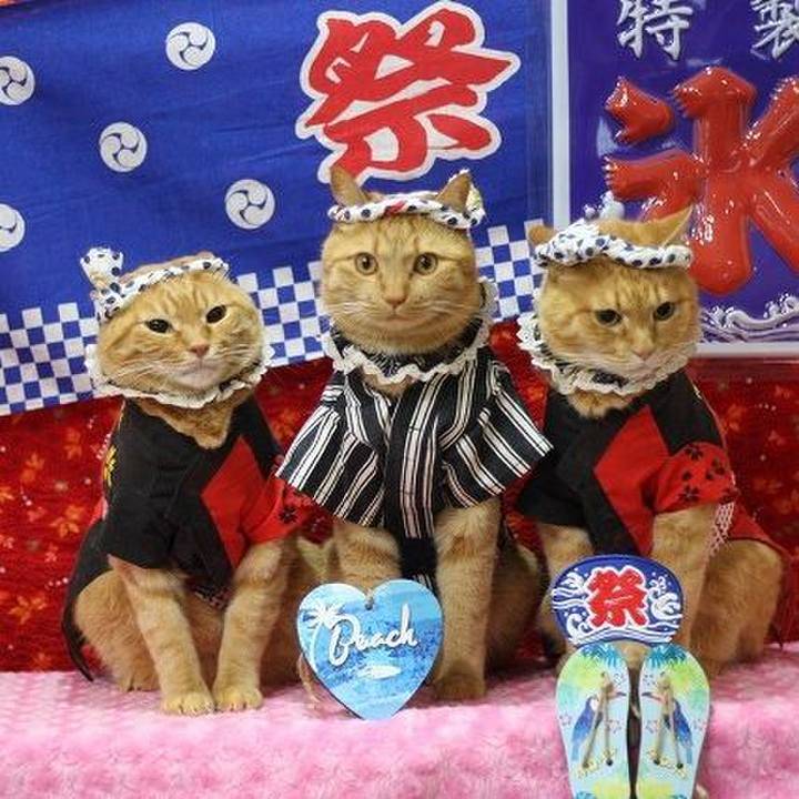 5d685965 7b55 400a 9b6b db987f167ffd 1596261653290