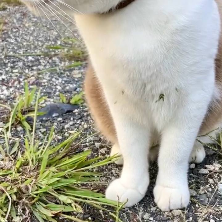 5d685b0d 54e7 46d7 9ba4 51262b87a2dd 1729495178666