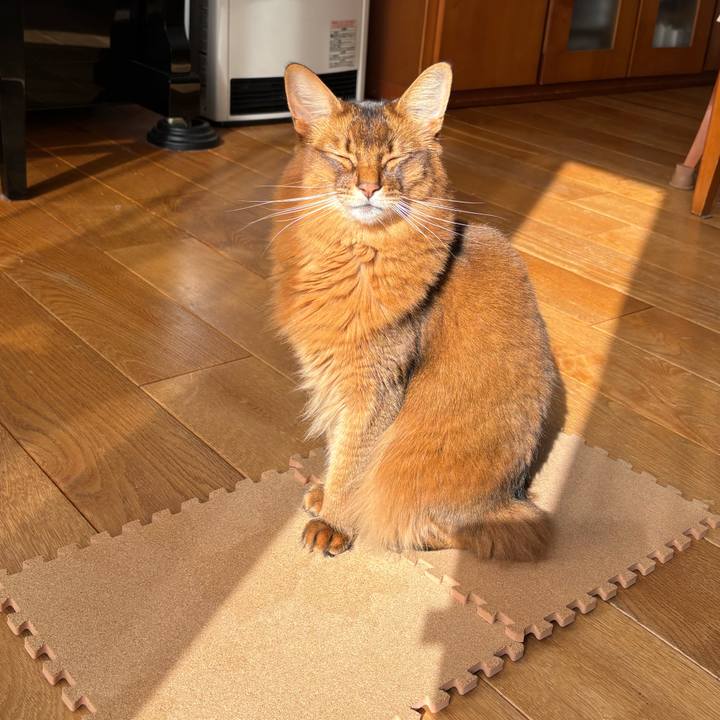 5d68604e a017 411f b428 7d299be3bc33 1761961190321