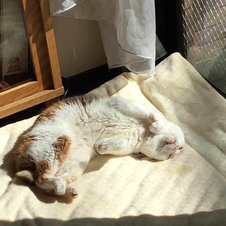 5d686f4e 4d14 423c 97a1 6a7c228cfa74 1521283530778