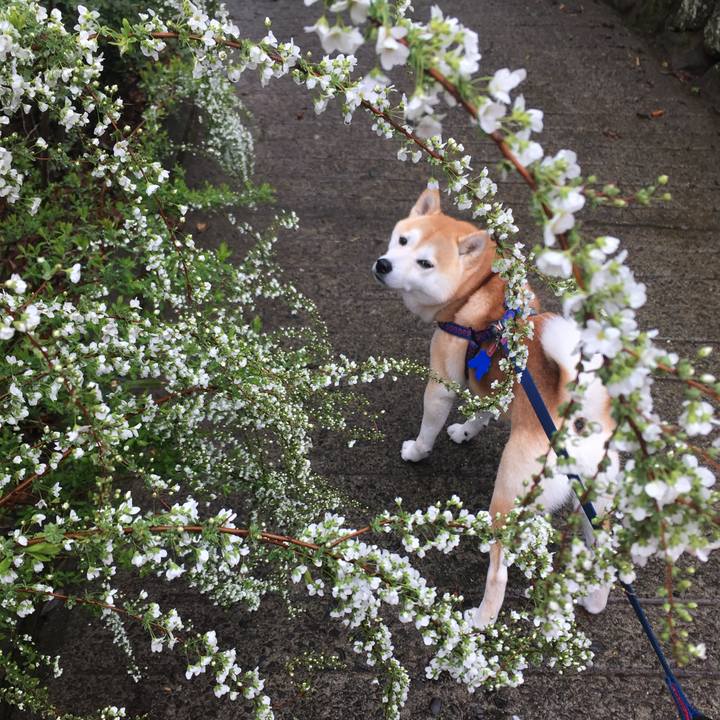 5d68715d fa59 42af a33b 85c97ad0b876 1774417385538