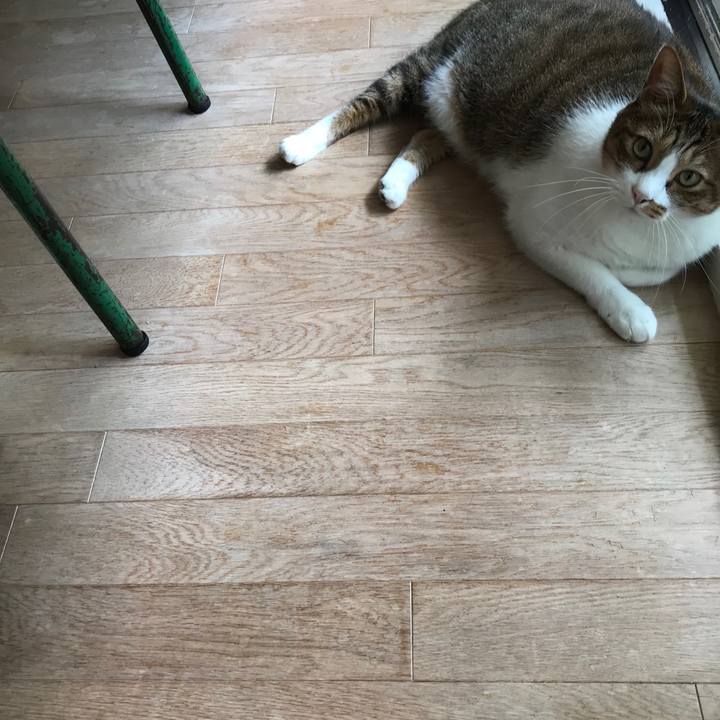 5d689777 c01f 4fa6 8c73 c3b8c2aee586 1568363398248