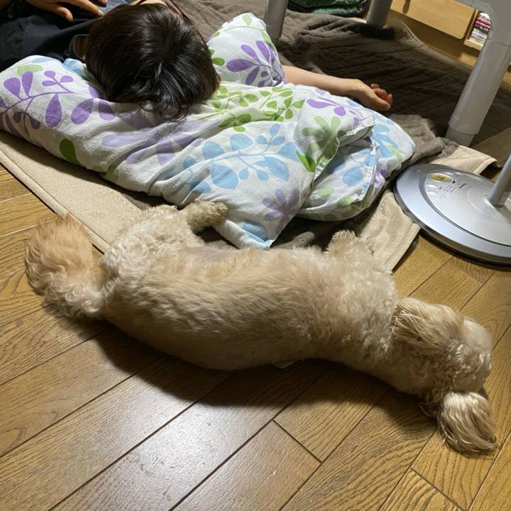 5d68a498 c850 4736 94d1 2abcf554fc84 1597936157184