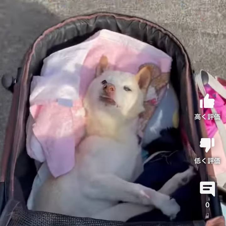 5d68cc10 68cf 43da 93d6 d4712669c6c9 1679372500018