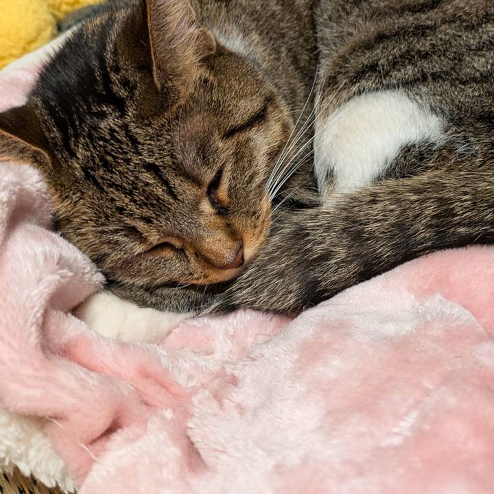 5d6905c4 ca5d 432e 8dcf e5e89d9d6839 1727604125495