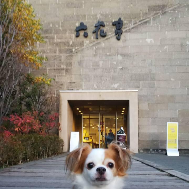 5d693065 0666 4115 9264 92196a1c96b5 1509008922490