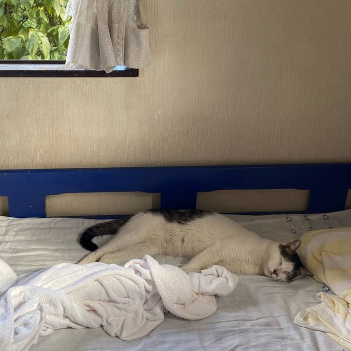 5d6947bf 8731 4e96 a2ac a45bcc0fd239 1693089617262