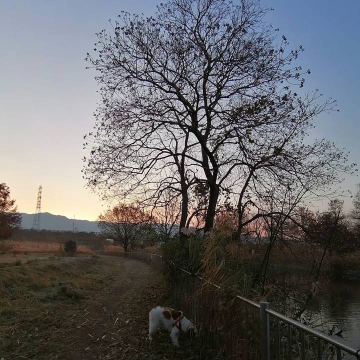 5d696255 35cb 4c0d 93bd 34a0d6c97806 1608682228741