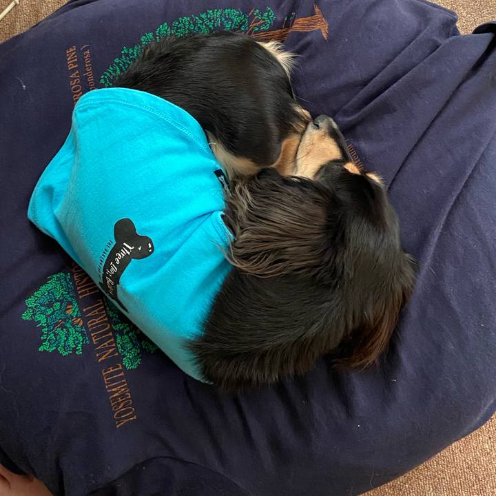 5d6971ee 0e4f 4872 9d16 a8cebc957db3 1698821567348