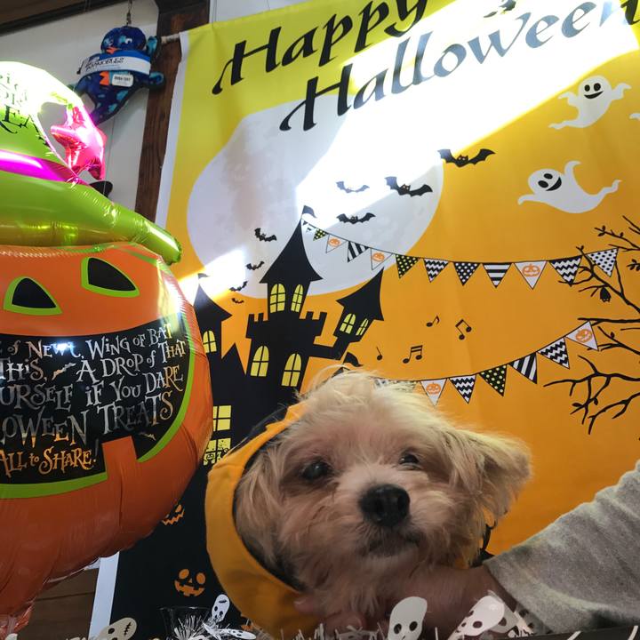 5d6979eb 545c 4bfe b212 6e10b4420002 1540957944423