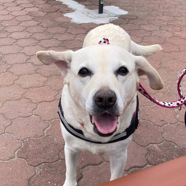 5d69e036 02c6 46d6 8c69 96177dc25d27 1745156451064