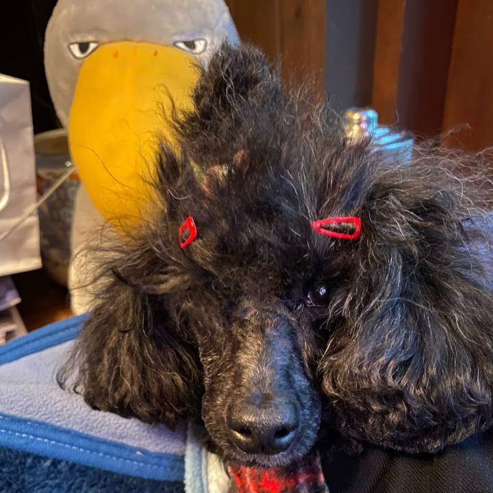 5d69edae 47a6 47b0 9fc4 a5329730e244 1636418175352