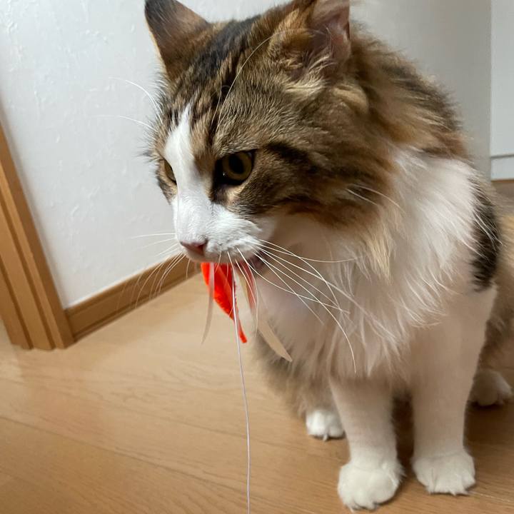 5d69f582 16cb 4122 940f 695548e7b0d7 1657408415297