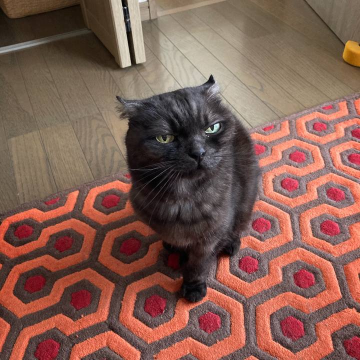 5d6a0842 daac 4e52 b464 9b3120703437 1590108173722