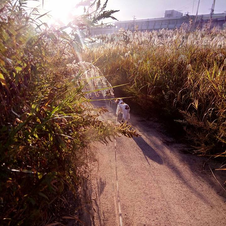 5d6a1c81 219f 4334 a39b 69a73dd8abeb 1510747238570