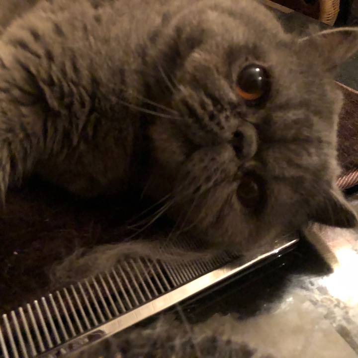 5d6a43a8 3e1e 4ca0 b164 b636a0f7844c 1553265266936