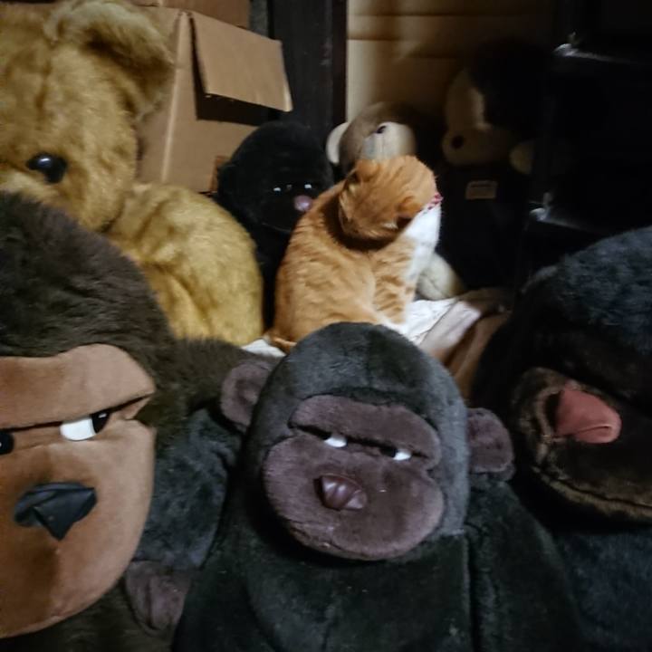 5d6a47d6 774f 45f4 be49 f42ba7a96b4c 1605003991856