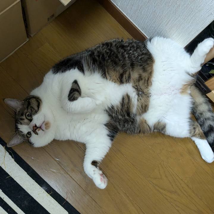 5d6a48c2 8a42 4531 83b6 3afbc1b386cc 1727351442896