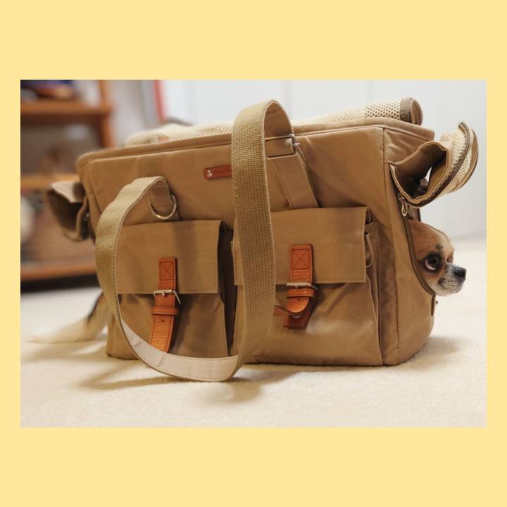 5d6a98bf d6c0 4b87 aa6c 55c1eaa208f3 1633174051747