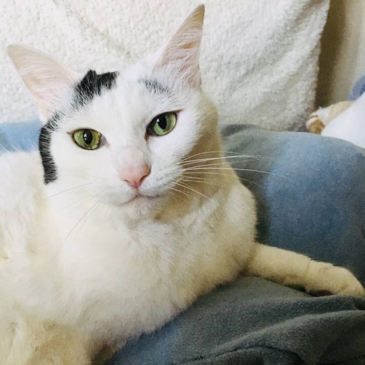 5d6aa543 4f94 4d27 a5ea f393ebddb23f 1559444272005