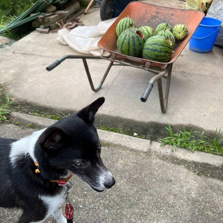 5d6aa655 0e45 4383 a2d7 cbbea18b5324 1689383546360