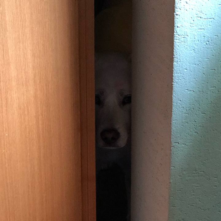 5d6ab363 6046 4201 9957 101ee6c048e2 1588607764761