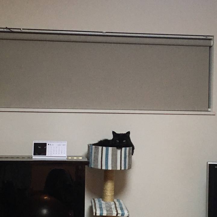 5d6adfac afd4 4b31 b589 407a8dc26ae1 1523443427107