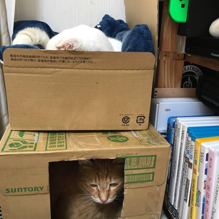 5d6ae723 49ba 402a 9ae6 b165d365e4f2 1539319950352