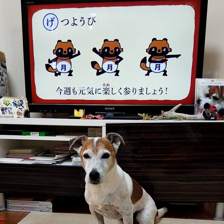 5d6b3284 a41e 4c52 b5d8 b5922492ac58 1570399515954