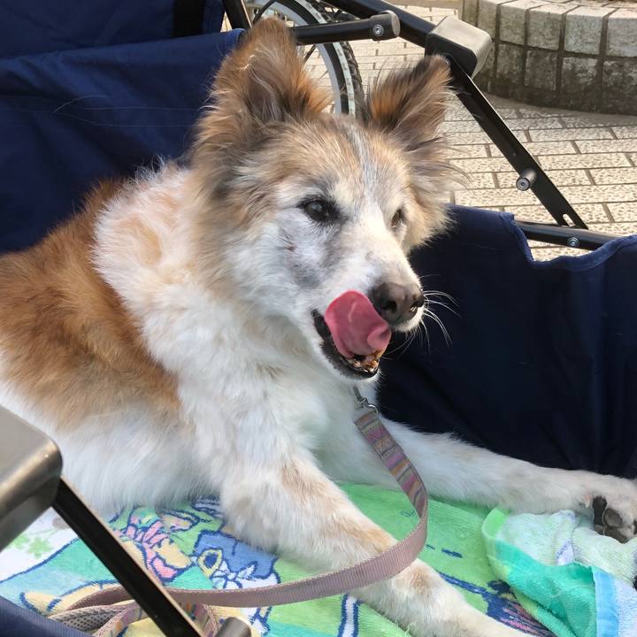 5d6b4727 a073 44dd 93cc db971dd5bba9 1539162063862