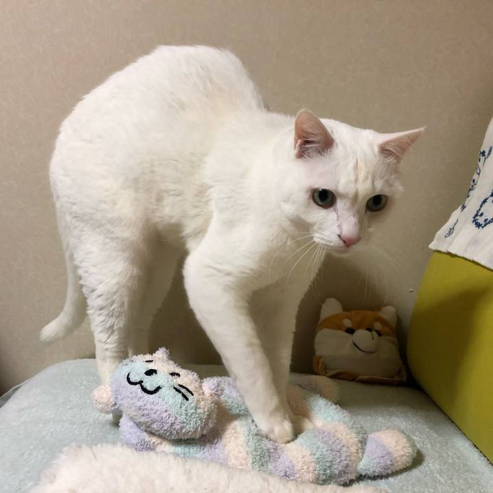 5d6b6326 9e03 4035 ac23 675ef700c584 1621044162247