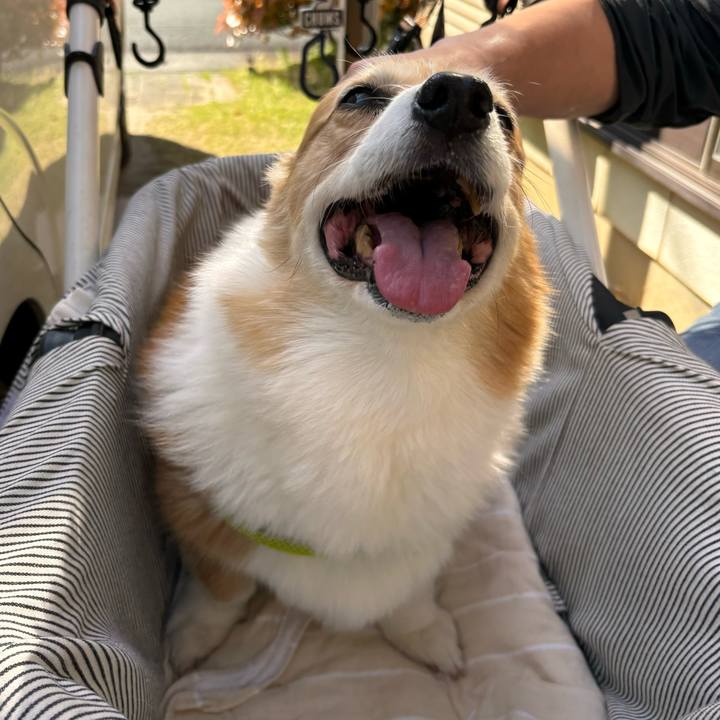 5d6b6ea2 a0b6 47ba 895d 0215f4c0c27d 1775631047447