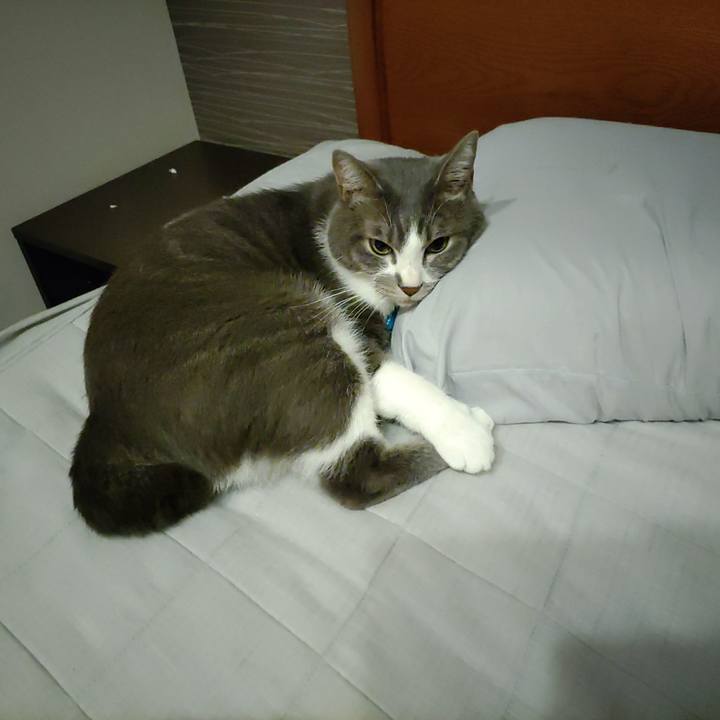 5d6bac98 bb14 4224 9df3 90770f10d46a 1659098491978