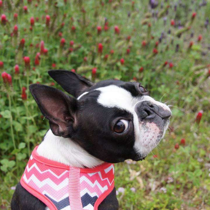 5d6bcb72 e79a 4e71 bd5f fbbb2e57706a 1525609098508