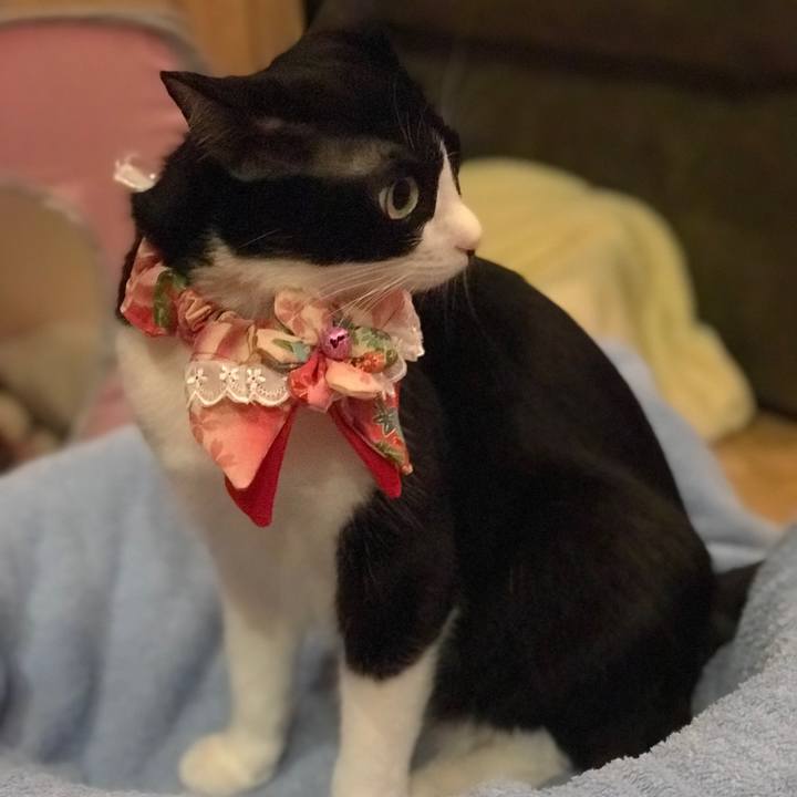 5d6bd4ca 7e14 4bfa a8c6 b3d5bea226c2 1551619879288