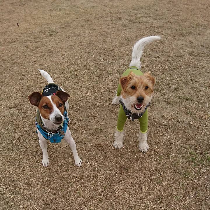 5d6bfac5 3bce 41f7 8c12 c11a8e9701ff 1609916042576