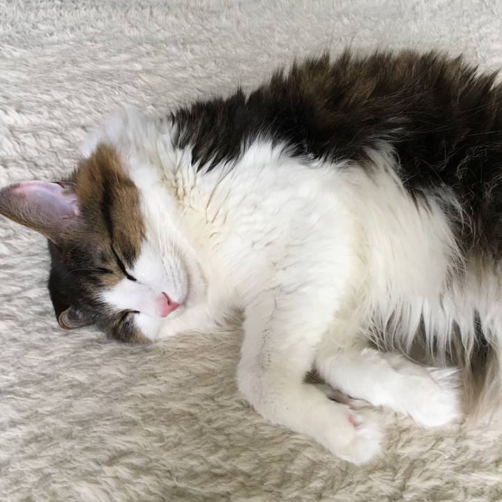 5d6bfbe0 dd39 410b b9cc fb0d318a799a 1528933029588