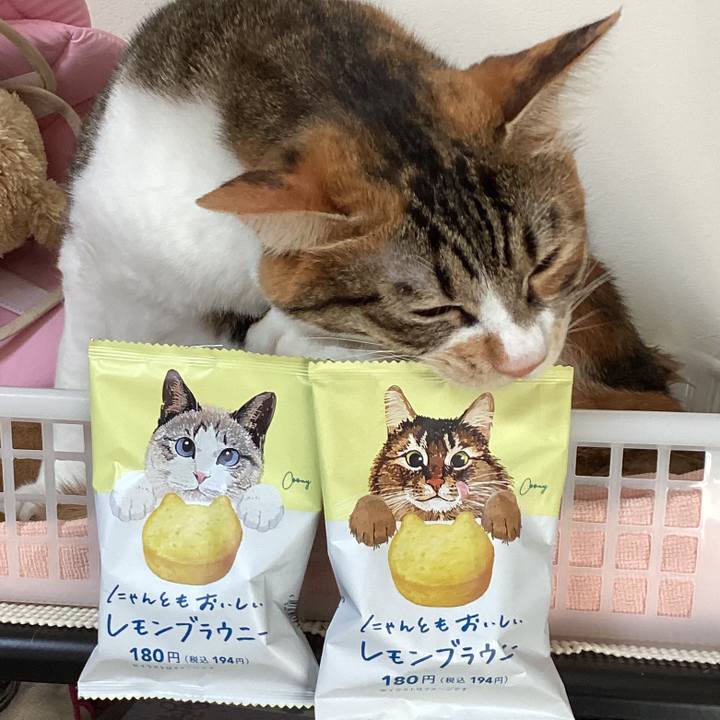 5d6c10a8 21a5 4ed9 9583 b3be7b0844ba 1691810521155