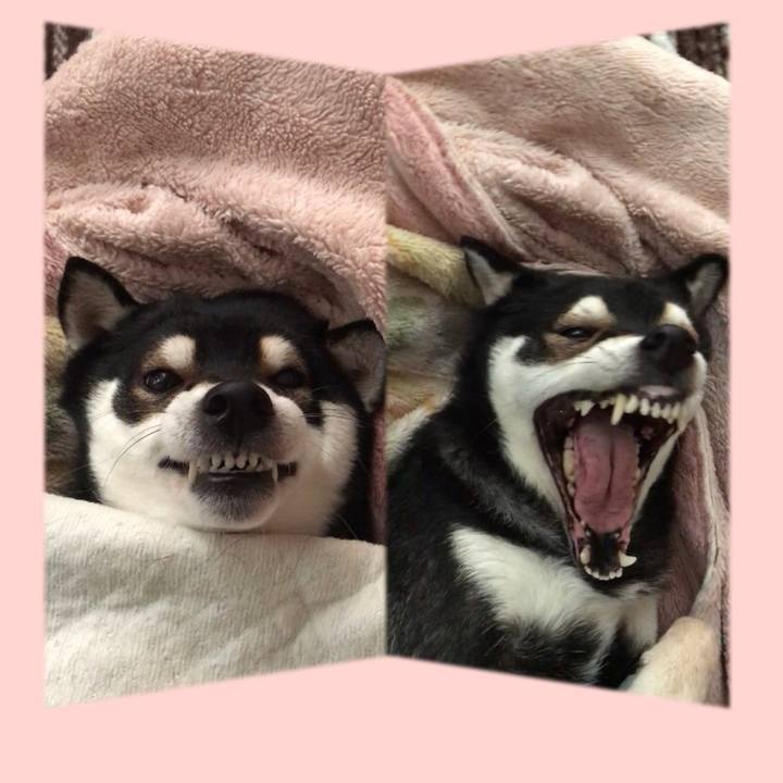 5d6c7f95 7ac1 4a0a 9a27 f7c44bf4c7ba 1520208619172