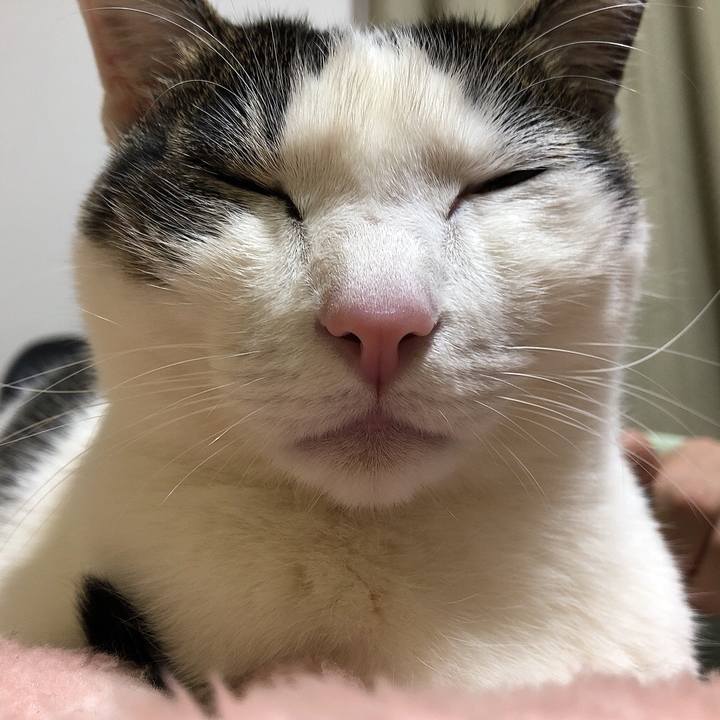 5d6cab1c c2d1 4db1 b4fb 6f06d87d87a6 1647093581796