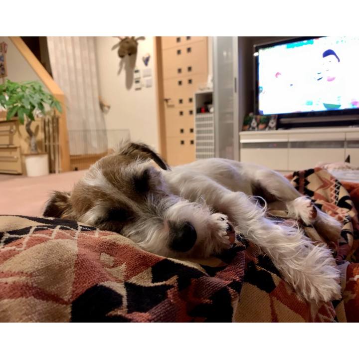 5d6cac19 886f 4e4d a1fd 5f86bab62925 1605616360429