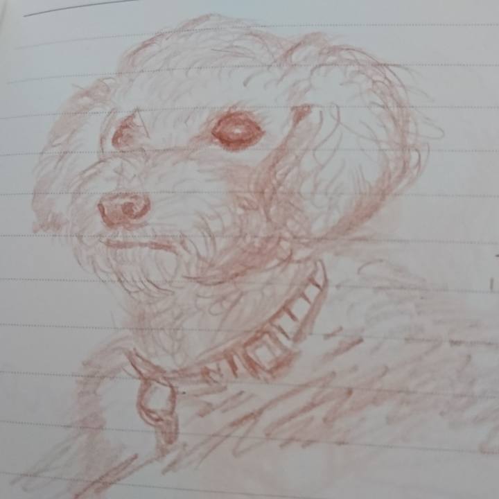 5d6d1e70 3289 4c7f 84f5 00debe117361 1602667815464