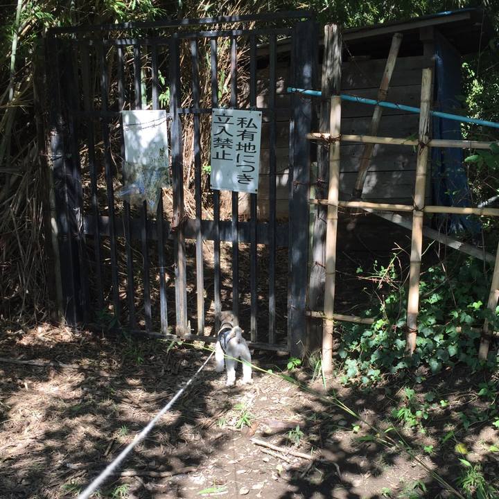 5d6d4ccd 3594 4d2d 9f82 298ff78ea63a 1538119250716