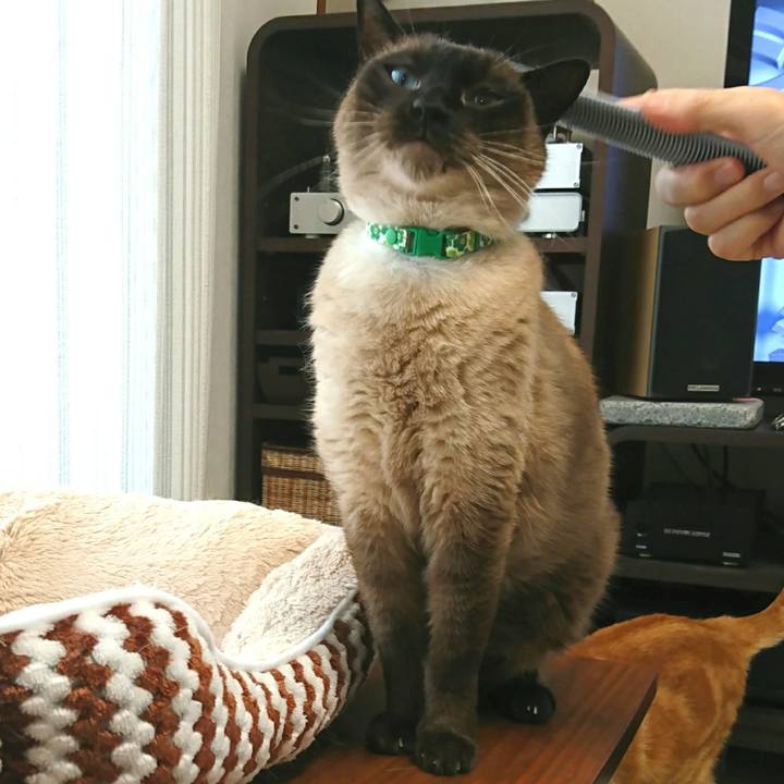 5d6d73e9 41c5 4f29 beca f8e364e235be 1524358251267