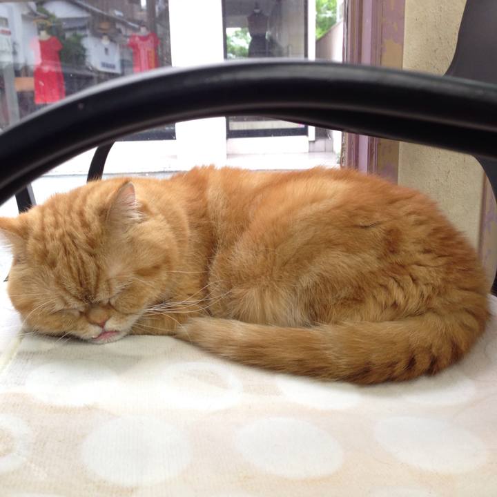 5d6d9134 a7ad 4dd3 afe4 973f7bc99ddf 1524610150734