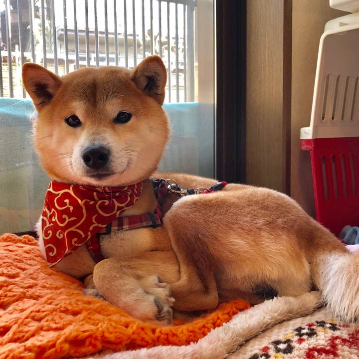 5d6da130 faca 47ab b47b 4c0be5fcb192 1519271196590