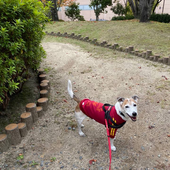 5d6dccc4 0d87 4c18 8ef0 b6cf247b5755 1604198729394